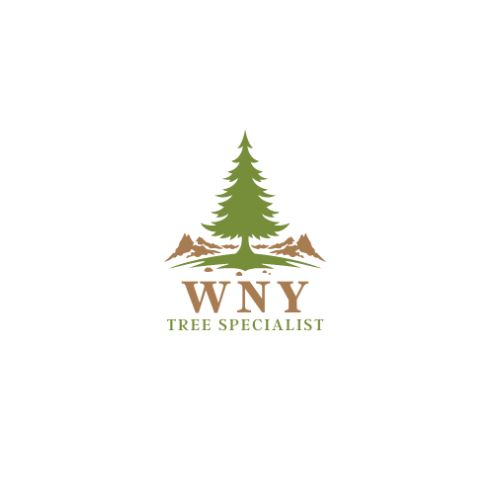 WNYTreeSpecialists