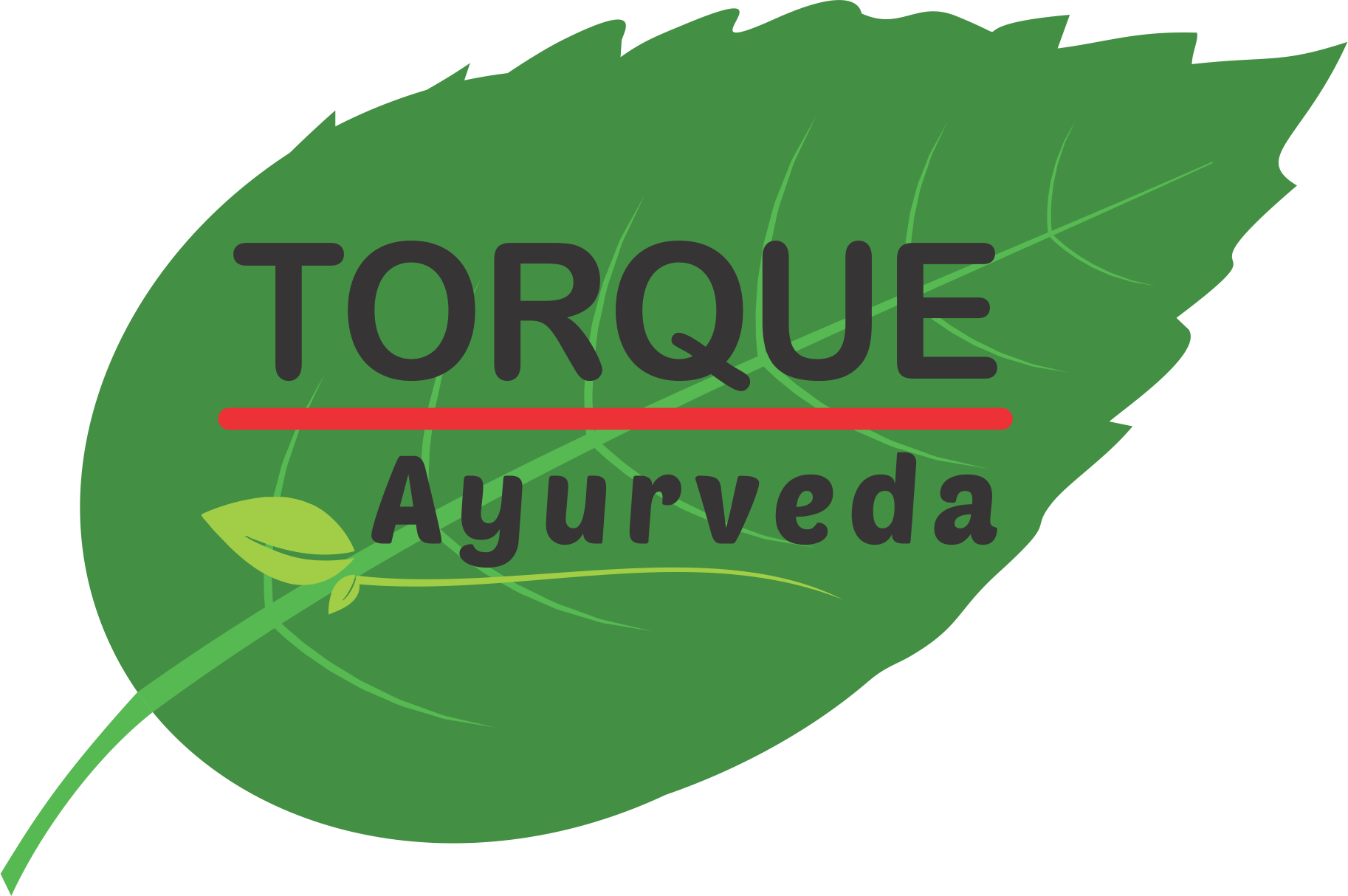 Torque Ayurvedic