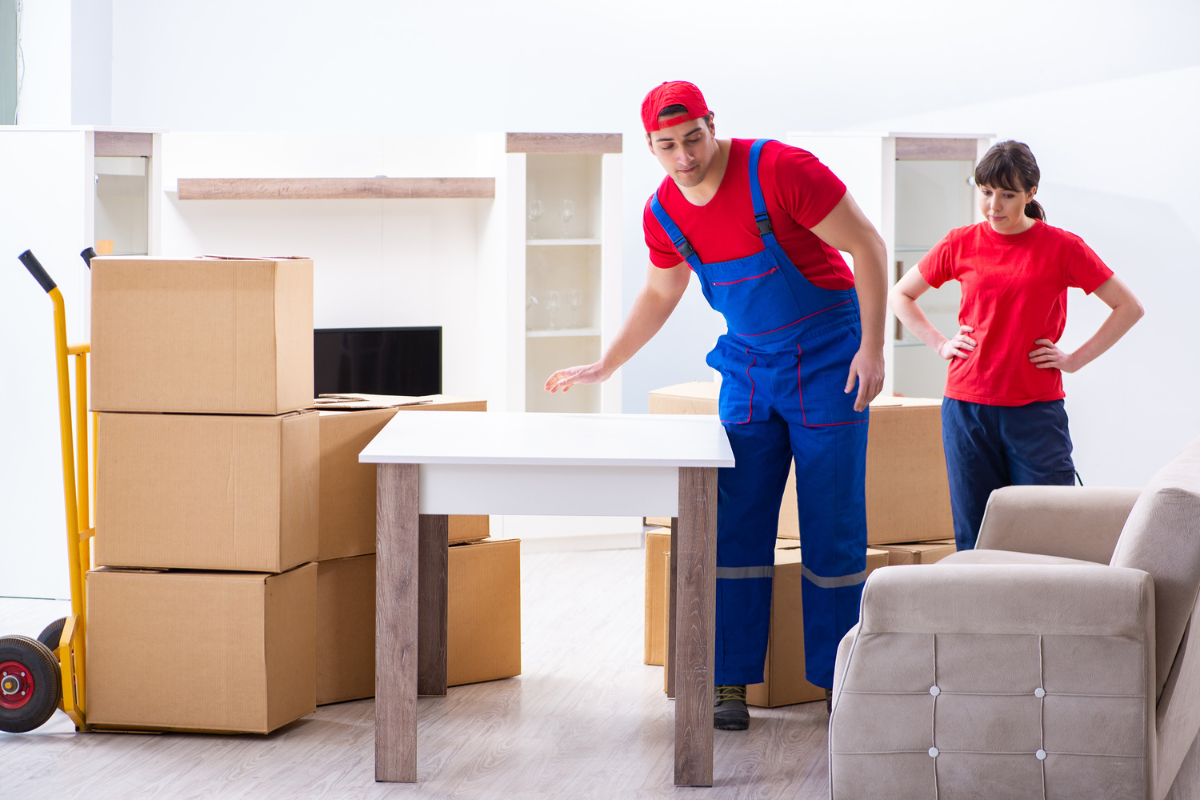  Orchid Packers and Movers Pune