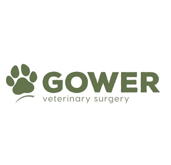 Gower Veterinary Surgery