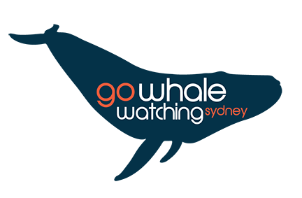 Go Whale Watching