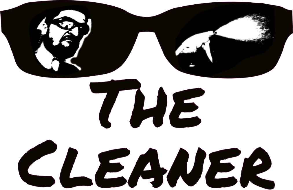 Jamie The Cleaner LLC