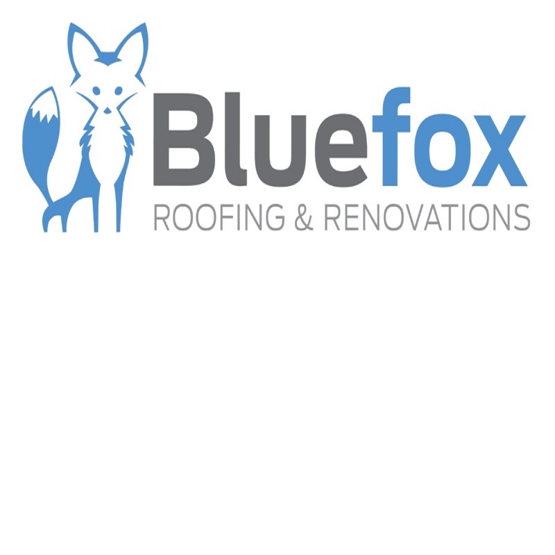 Blue Fox Roofing & Renovations