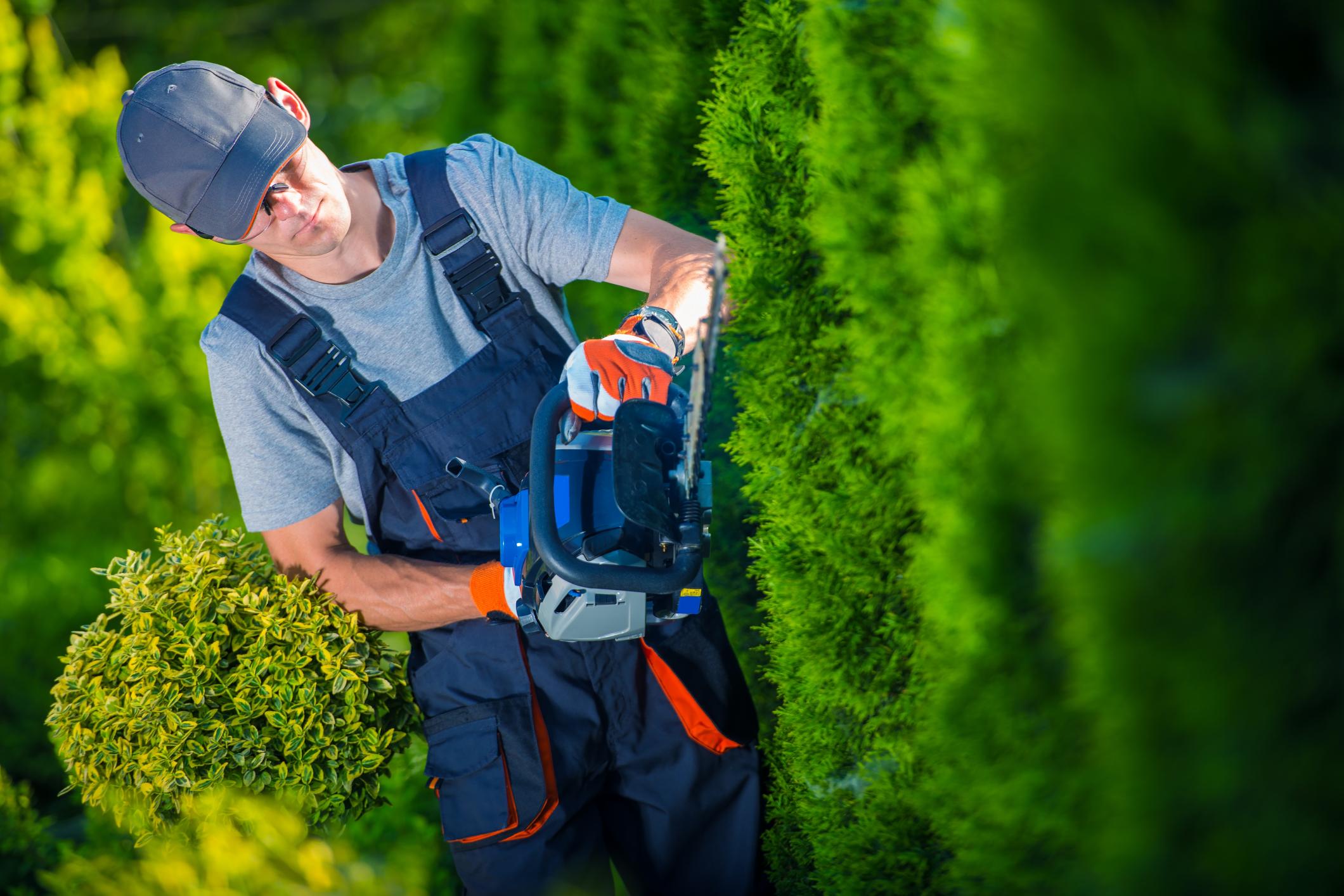 Top Tree Service Cincinnati