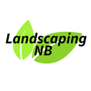 New Braunfels Landscaping