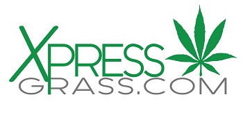 Xpress Grass