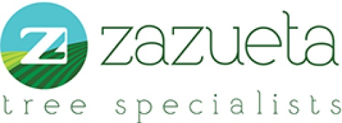 Zazueta Tree Specialists