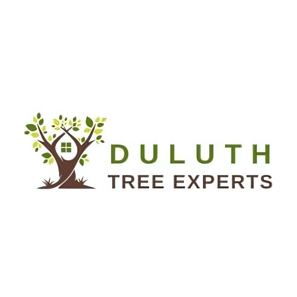 Duluth Tree Experts