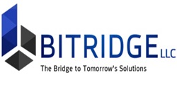 BITRIDGE LLC