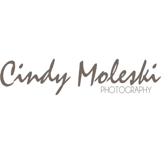 Cindy Moleski Photography