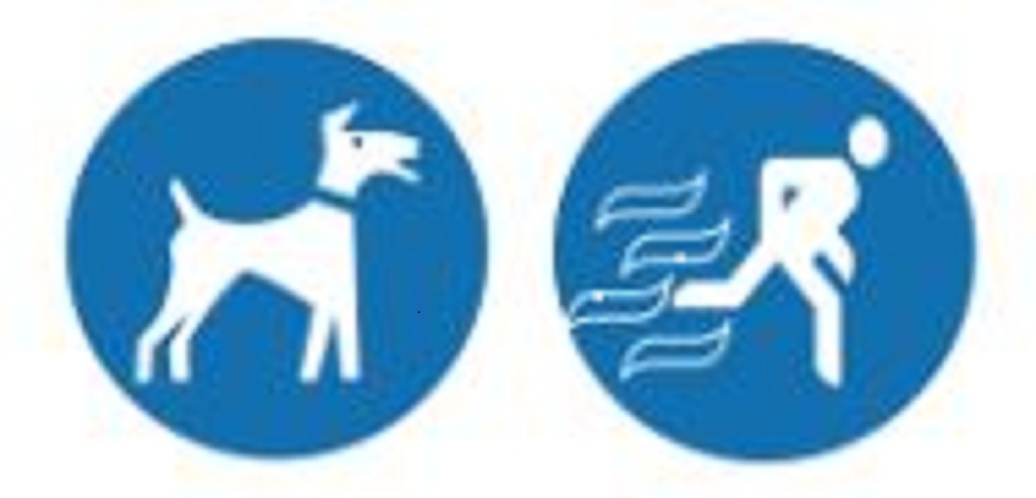 V.I.People & Pets - Pet Sitting/Dog Walking/Errands