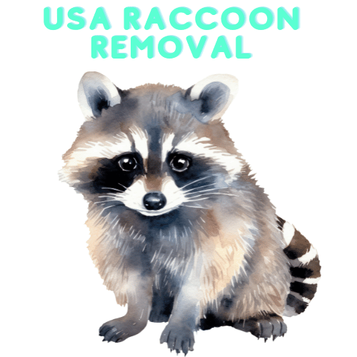 USA Raccoon Removal - Austin Texas