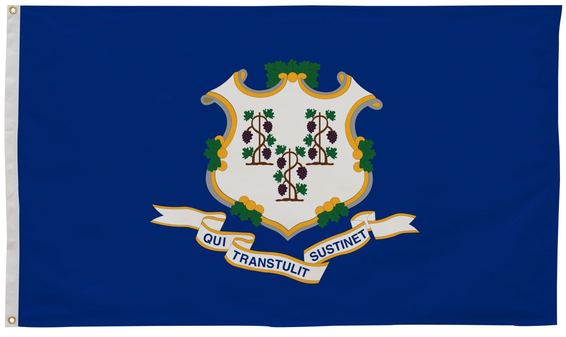 Connecticut License Plate Search