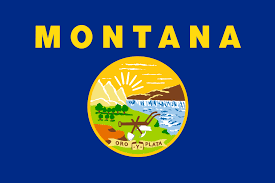 Montana License Plate Search