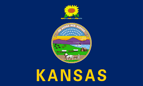 Kansas License Plate Search