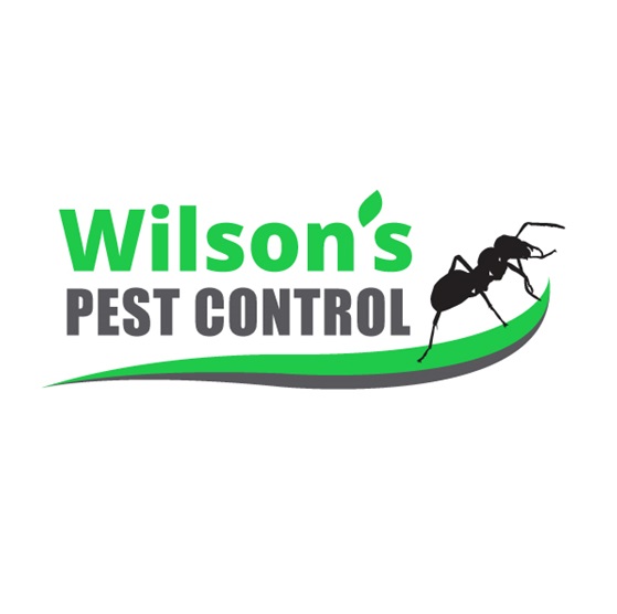 Wilsons Pest Control Gold Coast