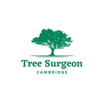 Tree Surgeon Cambridge