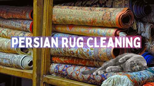 Persian Rug Cleaning