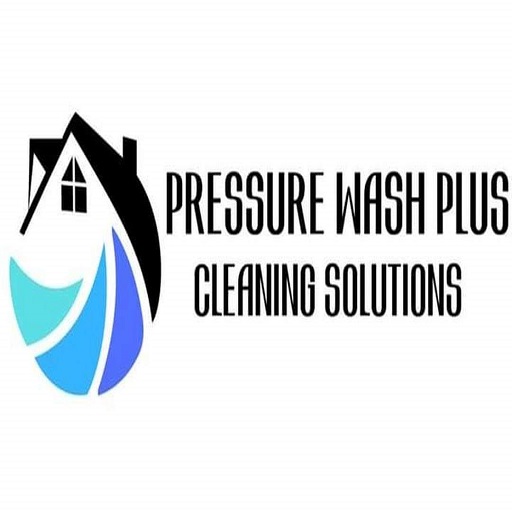 Pressure Washer Plus Cleaning Solutions