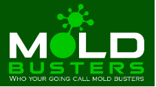 Mold Busters