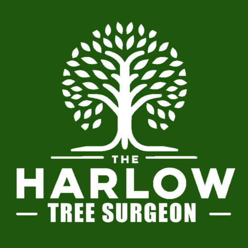 The Harlow Tree Surgeon