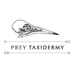 Prey Taxidermy