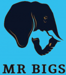 Mr Bigs