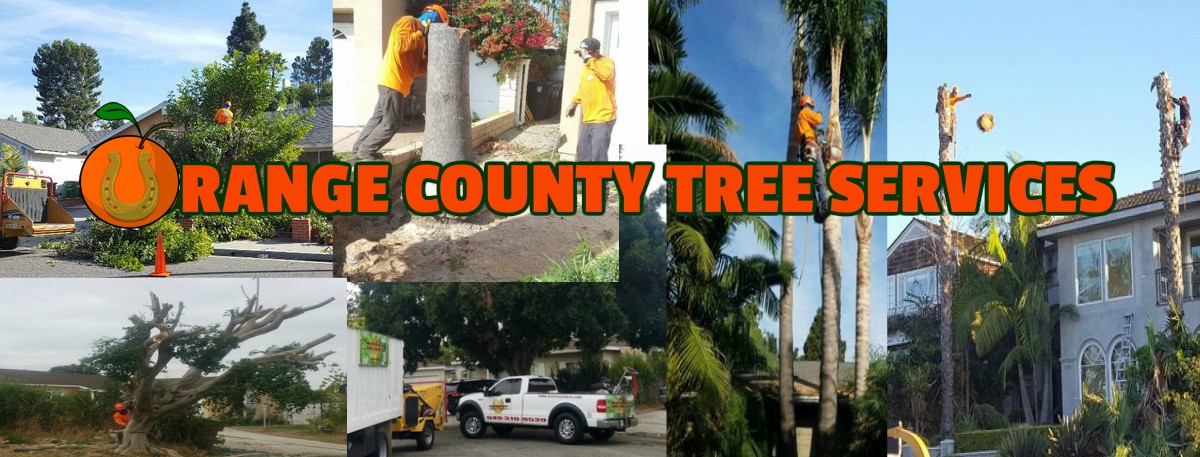 Orange County Tree Services