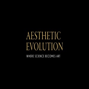 Aesthetic Evolution