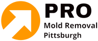 Pro Mold Removal Pittsburgh