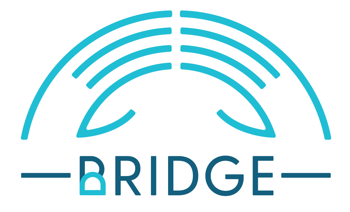 Bridge Physical Therapy