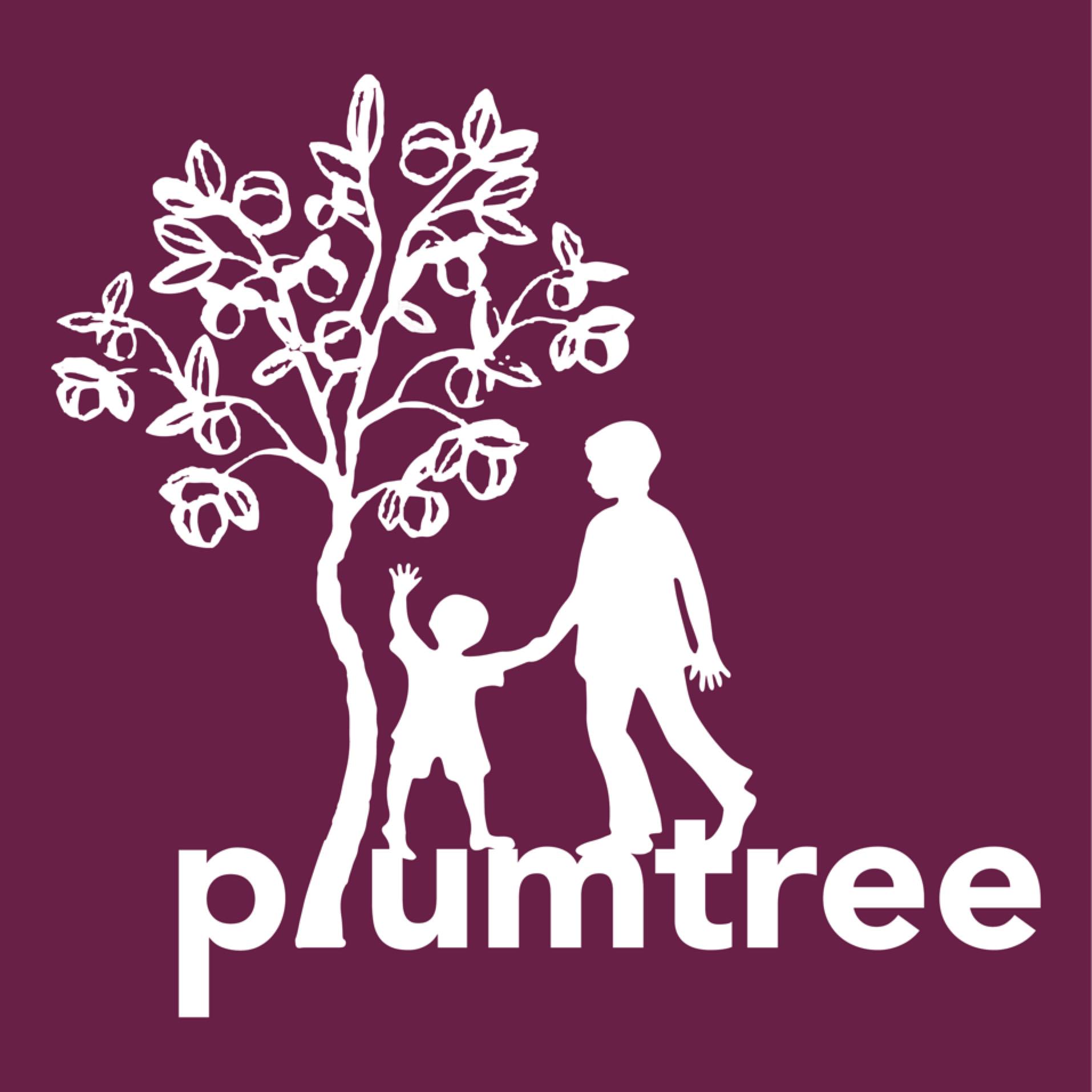 Plumtree Childrens Services