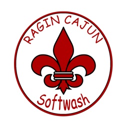 Ragin Cajun Softwash LLC