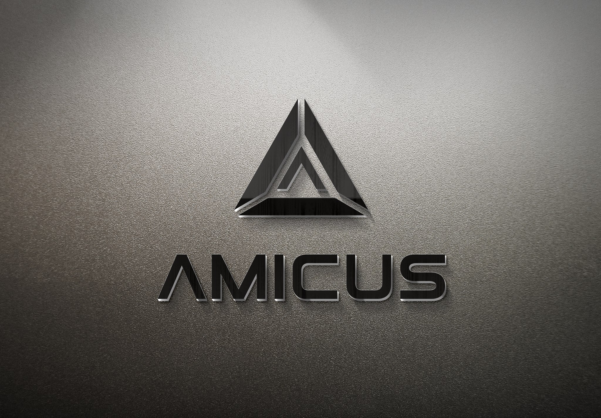 Amicus International Consulting 