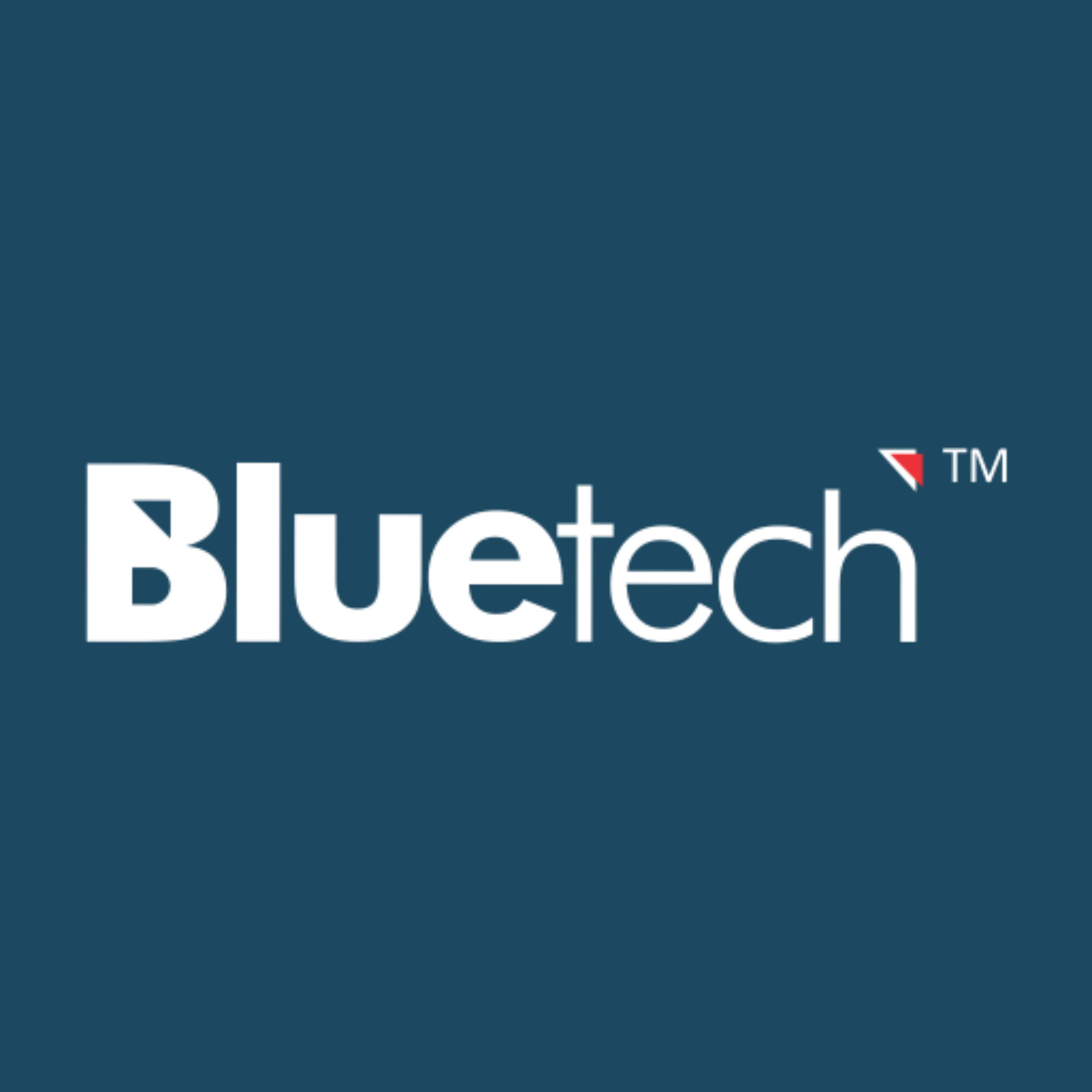 bluetech it services
