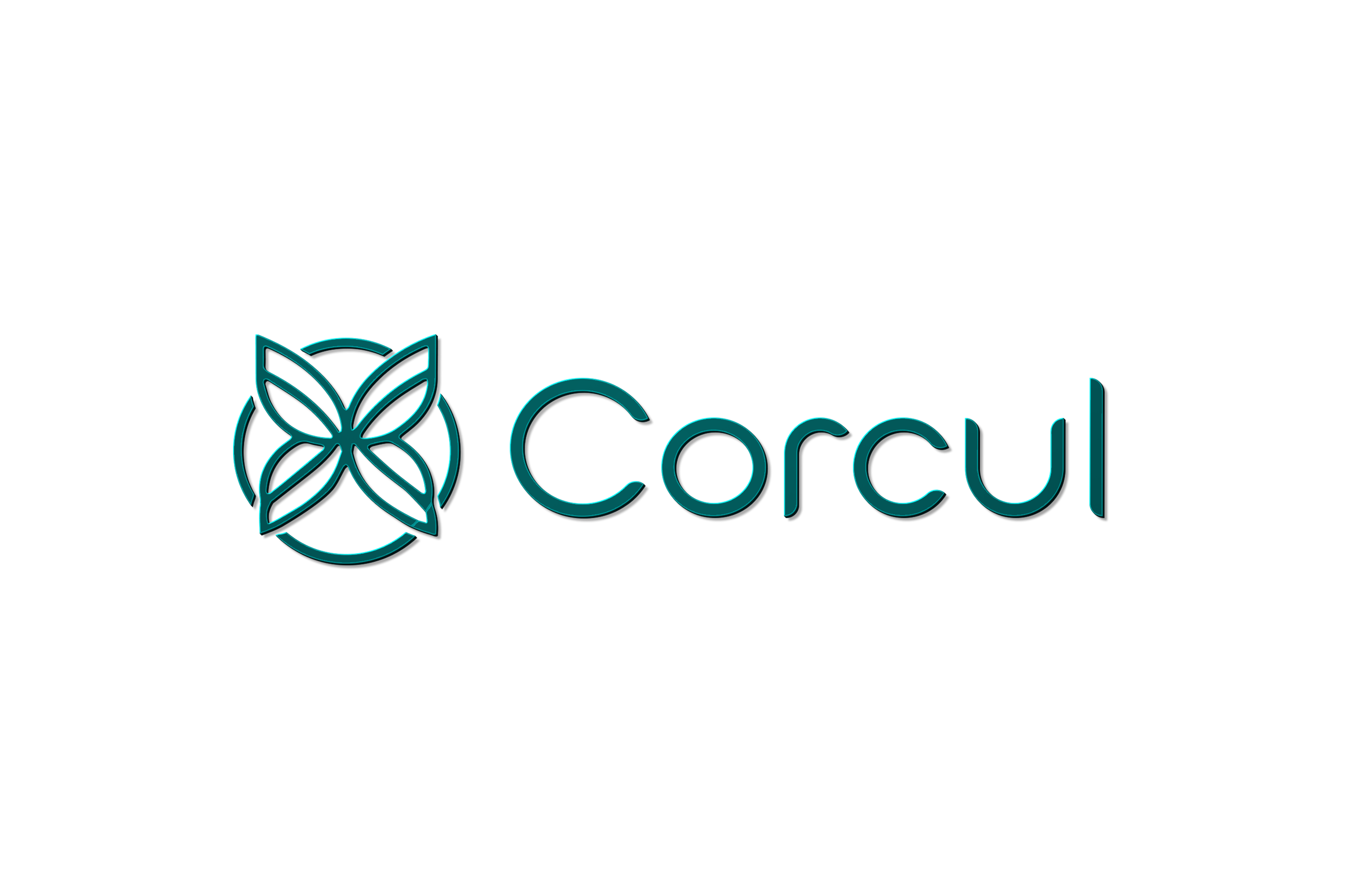 Corcul Artefact Pvt. Ltd.