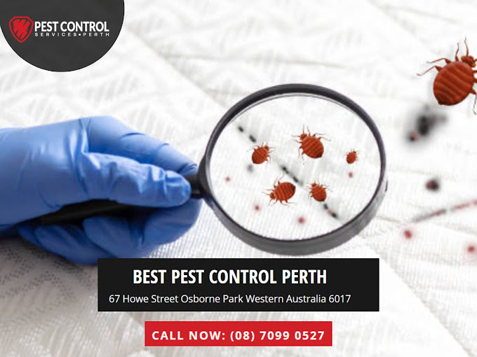 Best Pest Control Perth