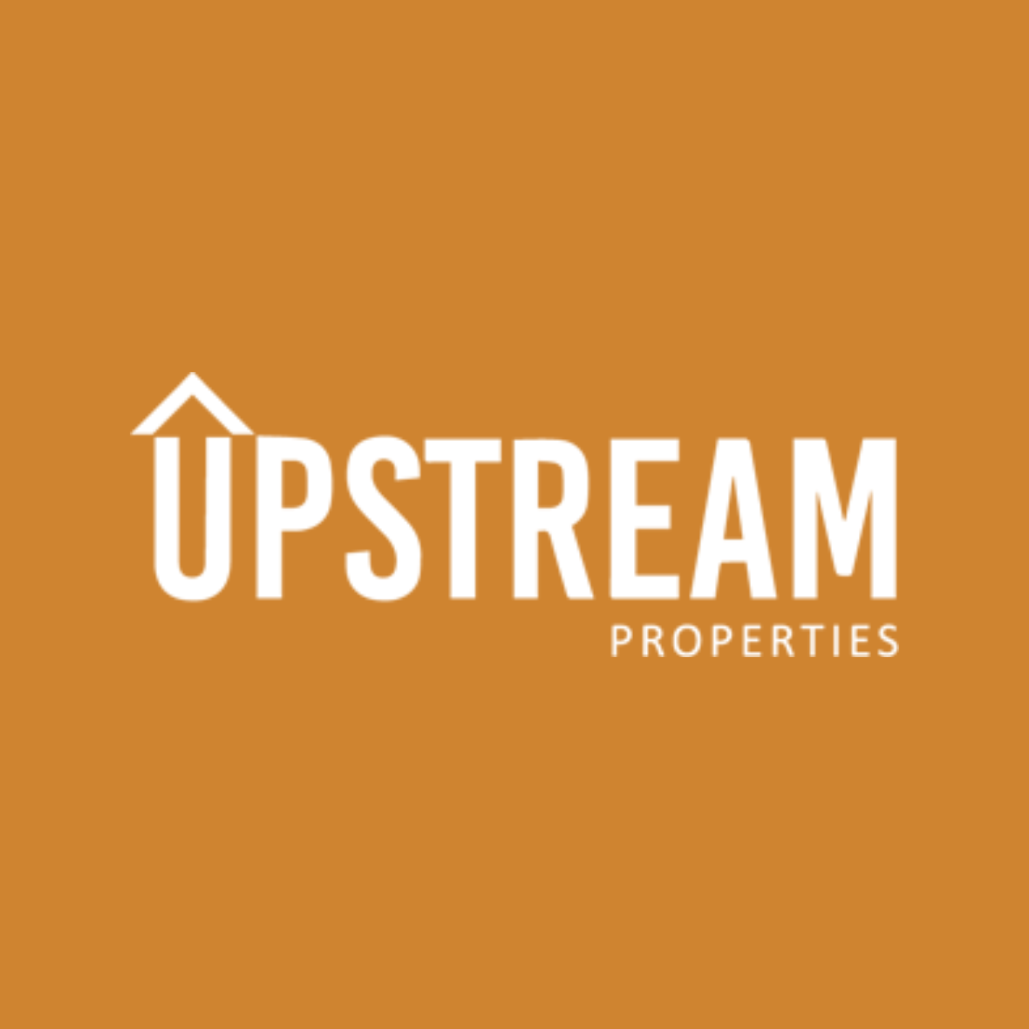 UPSTREAM PROPERTIES