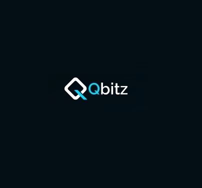 Qbitz LLC