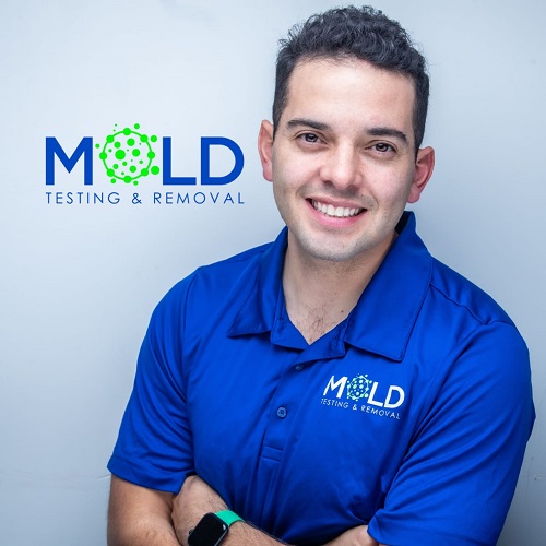 Ascanio's Mold Removal & Mold Inspection