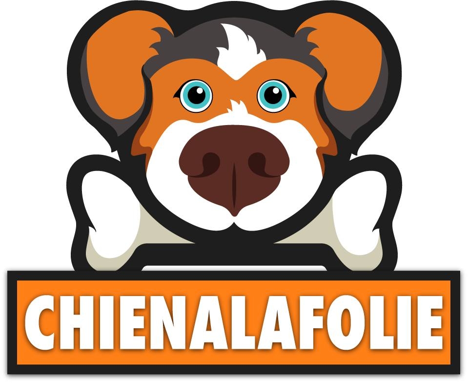 chienalafolie