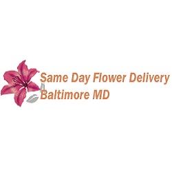 Same Day Flower Delivery Baltimore MD - Send Flowers