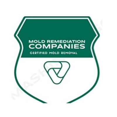 Escondido Mold Remediation Pros