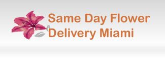 Same Day Flower Delivery Miami FL - Send Flowers