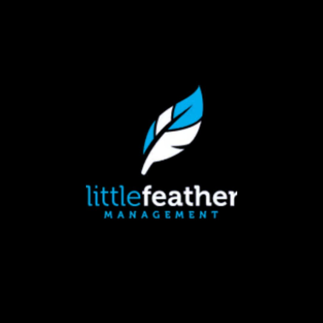 Little Feather 