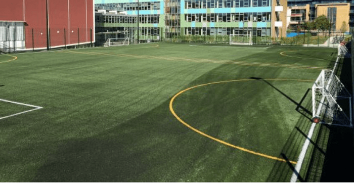 Synthetic Turf Company Ltd