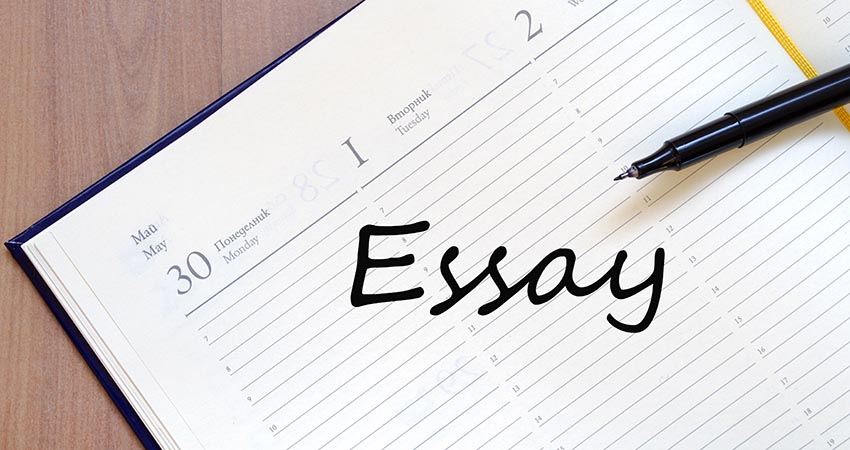 Essaywriter