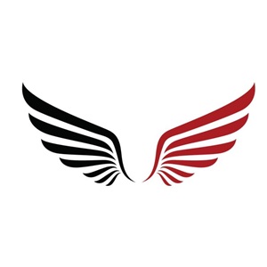 Frankfurter Elite SKY AG