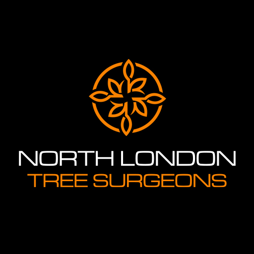 North London Tree Surgeons