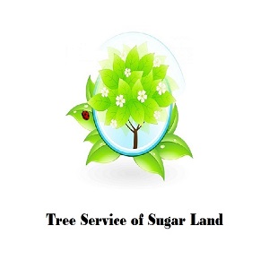 Tree Service of Sugar Land